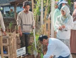 Gerakan Apoteker Menanam Pohon Kayu Putih: Langkah Hijau HISFARIN PD IAI Sul-Sel untuk Lingkungan Berkelanjutan 12 Gerakan Apoteker Menanam Pohon Kayu Putih: Langkah Hijau HISFARIN PD IAI Sul-Sel untuk Lingkungan Berkelanjutan