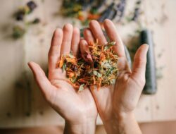 Obat Tradisional Indonesia Tidak Hanya Jamu