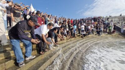 KIT dan Muskernas Hisfarma Bali 2025 bakti sosial dengan pelepasan tukik di pantai Matahari Terbit