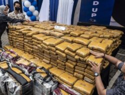 BNN musnahkan barang bukti narkoba seberat 11 ton