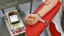 Setetes Darah, Sejuta Harapan: Makna Hari Donor Darah Sedunia