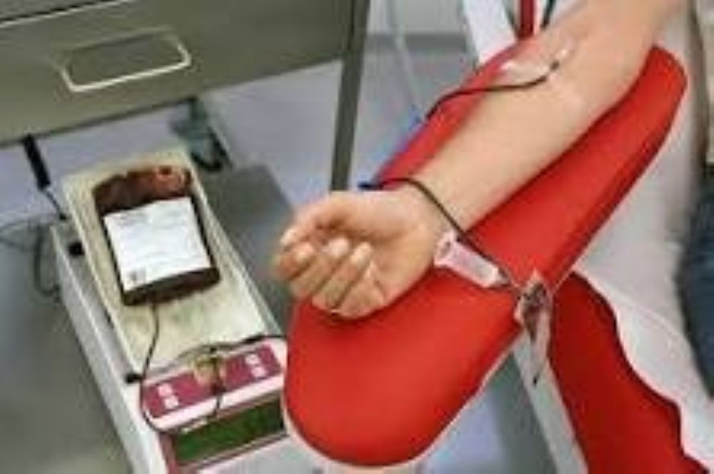 Donor darah
