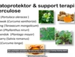 Tanaman Obat yang mendukung kesehatan paru