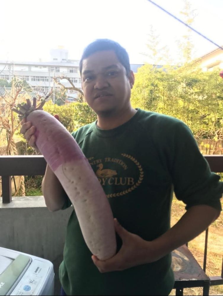 Lobak Putih, Umbi Rendah Kalori yang Kaya Serat dan Vitamin C