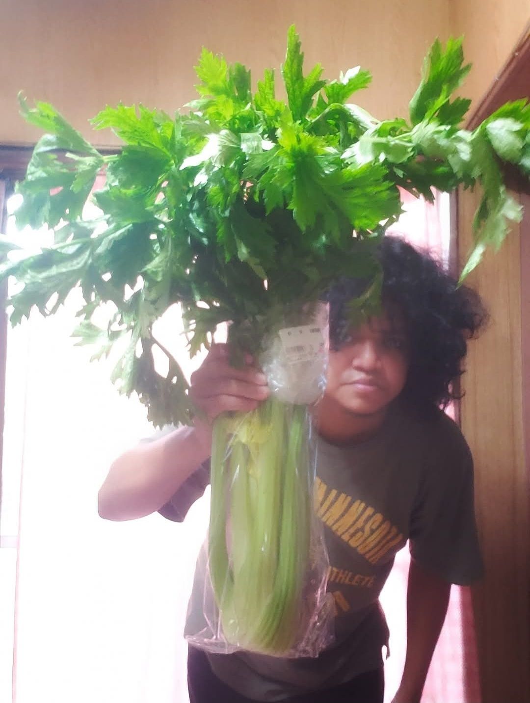 Seledri, Sayuran Sederhana dengan Manfaat Besar bagi Tekanan Darah hingga Jantung