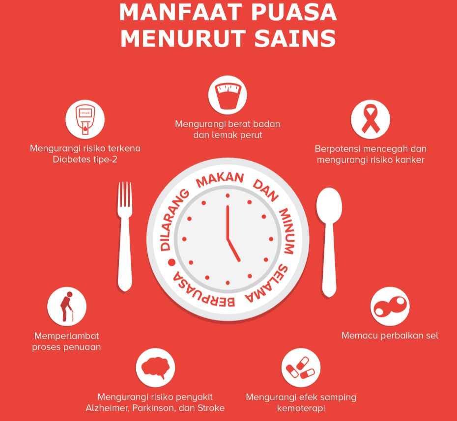 Puasa Ramadan Ditinjau dari Sains: Autofagi, Metabolisme, dan Mikrobiota Usus